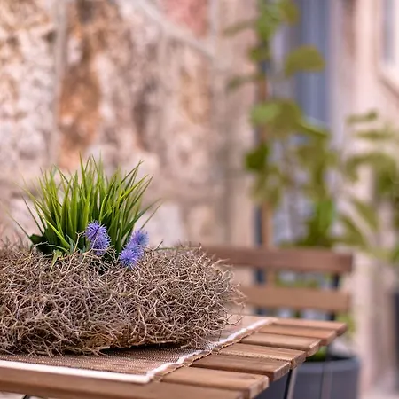 ヘラクレア レジデンシャル *